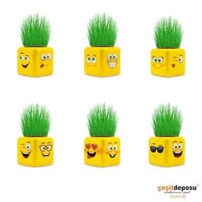 Çim Adam Çim Küp Emoji 24lü ÇİM09